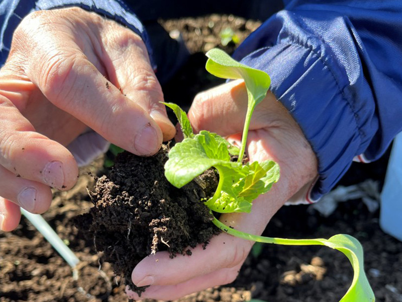 食品由来のSDGs肥料 イメージ