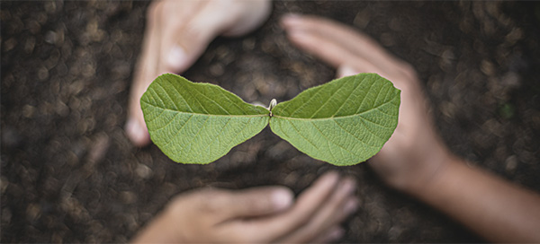 循環の輪イメージ